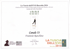 La Tuscia Dell'Evo
