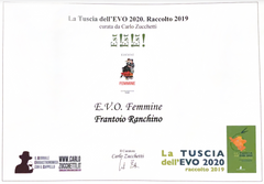La Tuscia Dell'Evo 2020
