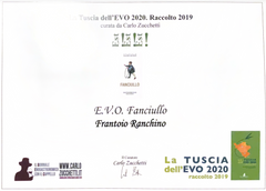 La Tuscia Dell'Evo 2020